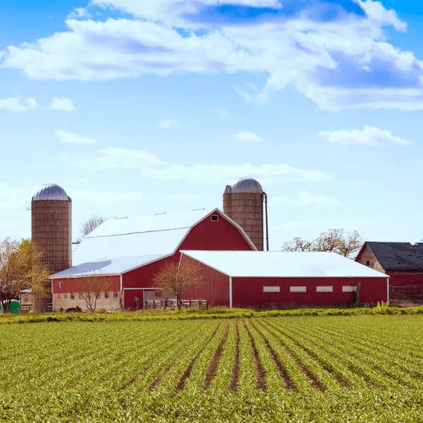 Get Insurance Coverage Thats Right For Your Farm Original 1